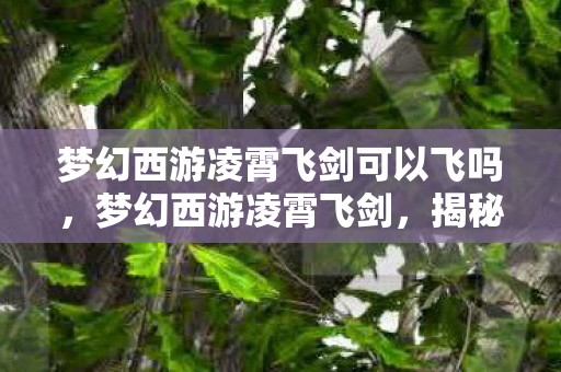 梦幻西游凌霄飞剑可以飞吗,梦幻西游凌霄飞剑,揭秘神秘法宝的魅力与实战运用策略 梦幻西游凌霄飞剑可以飞吗,梦幻西游凌霄飞剑,揭秘神秘法宝的魅力与实战运用策略