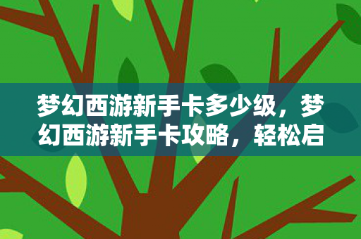 梦幻西游新手卡多少级,梦幻西游新手卡攻略,轻松启程你的西游之旅 梦幻西游新手卡多少级,梦幻西游新手卡攻略,轻松启程你的西游之旅