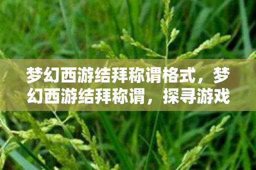 梦幻西游结拜称谓格式,梦幻西游结拜称谓,探寻游戏中的兄弟情义 梦幻西游结拜称谓格式,梦幻西游结拜称谓,探寻游戏中的兄弟情义
