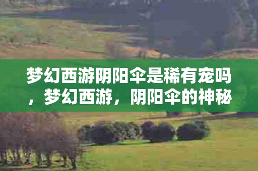 梦幻西游阴阳伞是稀有宠吗,梦幻西游,阴阳伞的神秘面纱 梦幻西游阴阳伞是稀有宠吗,梦幻西游,阴阳伞的神秘面纱