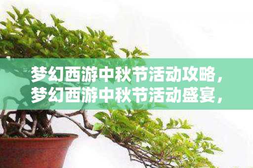 梦幻西游中秋节活动攻略,梦幻西游中秋节活动盛宴,欢乐与惊喜的盛宴! 梦幻西游中秋节活动攻略,梦幻西游中秋节活动盛宴,欢乐与惊喜的盛宴!