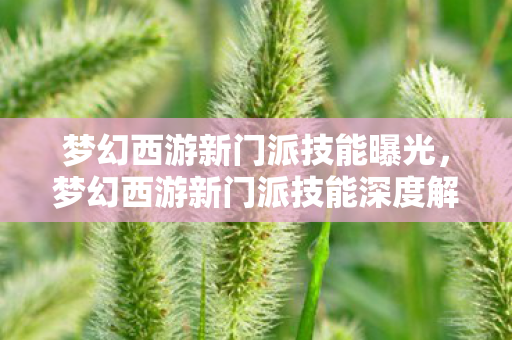 梦幻西游新门派技能曝光,梦幻西游新门派技能深度解析 梦幻西游新门派技能曝光,梦幻西游新门派技能深度解析