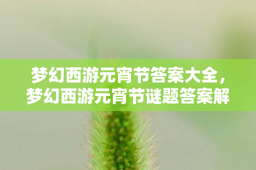 梦幻西游元宵节答案大全,梦幻西游元宵节谜题答案解析 梦幻西游元宵节答案大全,梦幻西游元宵节谜题答案解析