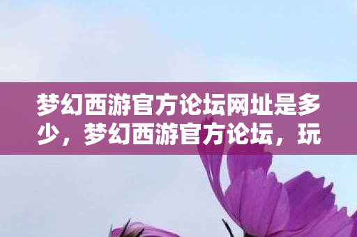 梦幻西游官方论坛网址是多少，梦幻西游官方论坛，玩家交流、资讯发布与游戏乐趣的聚集地