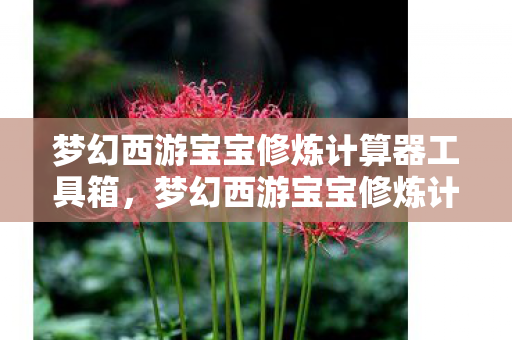 梦幻西游宝宝修炼计算器工具箱，梦幻西游宝宝修炼计算器，助力你成为修炼大师