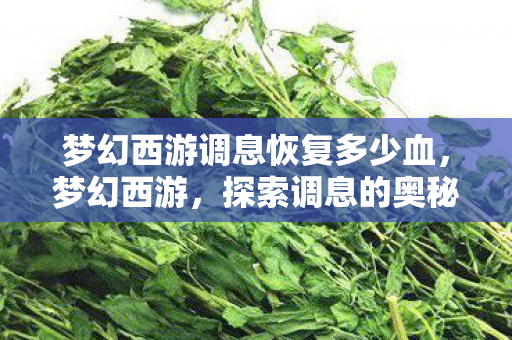 梦幻西游调息恢复多少血,梦幻西游,探索调息的奥秘 梦幻西游调息恢复多少血,梦幻西游,探索调息的奥秘