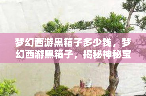 梦幻西游黑箱子多少钱,梦幻西游黑箱子,揭秘神秘宝箱背后的故事与真相 梦幻西游黑箱子多少钱,梦幻西游黑箱子,揭秘神秘宝箱背后的故事与真相