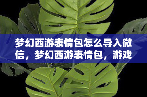梦幻西游表情包怎么导入微信,梦幻西游表情包,游戏内外的情感传递者 梦幻西游表情包怎么导入微信,梦幻西游表情包,游戏内外的情感传递者