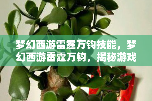 梦幻西游雷霆万钧技能,梦幻西游雷霆万钧,揭秘游戏背后的秘密故事 梦幻西游雷霆万钧技能,梦幻西游雷霆万钧,揭秘游戏背后的秘密故事