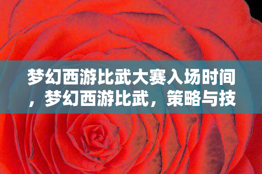 梦幻西游比武大赛入场时间,梦幻西游比武,策略与技巧的深度解析 梦幻西游比武大赛入场时间,梦幻西游比武,策略与技巧的深度解析