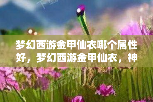 梦幻西游金甲仙衣哪个属性好，梦幻西游金甲仙衣，神秘装备背后的故事与攻略