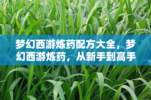 梦幻西游炼药配方大全,梦幻西游炼药,从新手到高手的全面解析 梦幻西游炼药配方大全,梦幻西游炼药,从新手到高手的全面解析