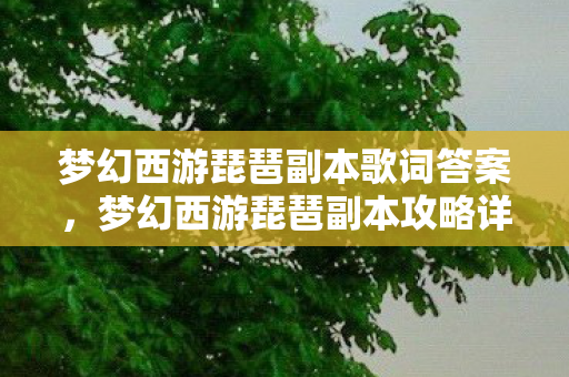 梦幻西游琵琶副本歌词答案,梦幻西游琵琶副本攻略详解 梦幻西游琵琶副本歌词答案,梦幻西游琵琶副本攻略详解