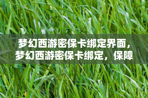 梦幻西游密保卡绑定界面,梦幻西游密保卡绑定,保障账号安全的重要步骤 梦幻西游密保卡绑定界面,梦幻西游密保卡绑定,保障账号安全的重要步骤