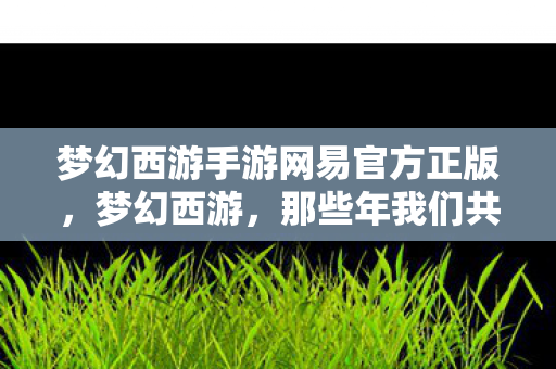 梦幻西游手游网易官方正版，梦幻西游，那些年我们共同的首页记忆