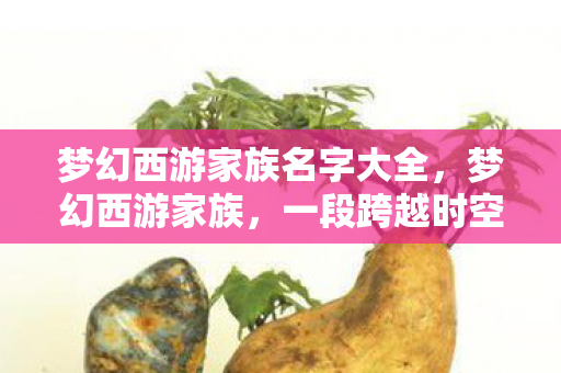 梦幻西游家族名字大全,梦幻西游家族,一段跨越时空的情缘传奇 梦幻西游家族名字大全,梦幻西游家族,一段跨越时空的情缘传奇