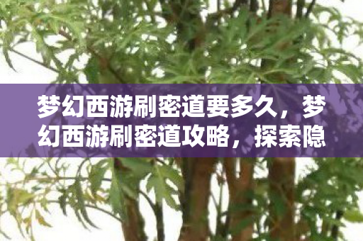 梦幻西游刷密道要多久,梦幻西游刷密道攻略,探索隐藏副本,轻松获取丰厚奖励! 梦幻西游刷密道要多久,梦幻西游刷密道攻略,探索隐藏副本,轻松获取丰厚奖励!