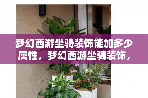 梦幻西游坐骑装饰能加多少属性,梦幻西游坐骑装饰,赋予你独特魅力的梦幻之选 梦幻西游坐骑装饰能加多少属性,梦幻西游坐骑装饰,赋予你独特魅力的梦幻之选