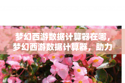 梦幻西游数据计算器在哪,梦幻西游数据计算器,助力玩家轻松掌握游戏策略 梦幻西游数据计算器在哪,梦幻西游数据计算器,助力玩家轻松掌握游戏策略