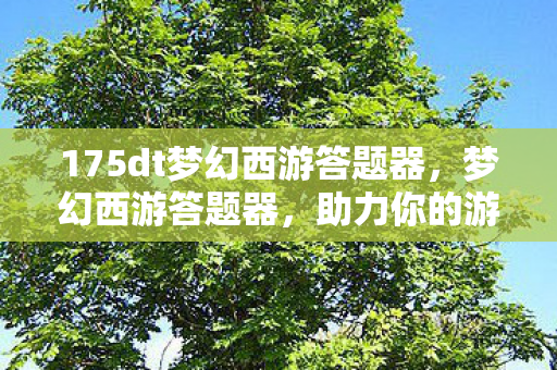 175dt梦幻西游答题器,梦幻西游答题器,助力你的游戏智慧与乐趣并行下载 175dt梦幻西游答题器,梦幻西游答题器,助力你的游戏智慧与乐趣并行下载