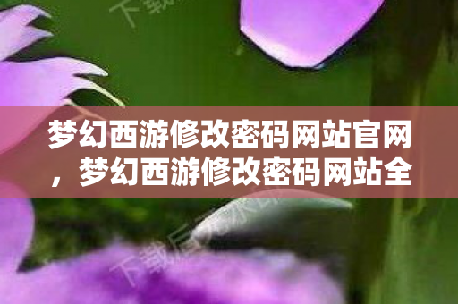 梦幻西游修改密码网站官网，梦幻西游修改密码网站全解析，安全与便捷并重