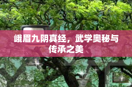 峨眉九阴真经,武学奥秘与传承之美 峨眉九阴真经,武学奥秘与传承之美