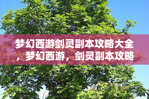 梦幻西游剑灵副本攻略大全,梦幻西游,剑灵副本攻略详解 梦幻西游剑灵副本攻略大全,梦幻西游,剑灵副本攻略详解