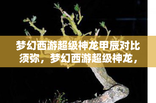 梦幻西游超级神龙甲辰对比须弥,梦幻西游超级神龙,揭秘神秘神兽背后的故事 梦幻西游超级神龙甲辰对比须弥,梦幻西游超级神龙,揭秘神秘神兽背后的故事