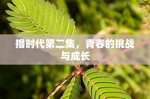 撸时代第二集,青春的挑战与成长 撸时代第二集,青春的挑战与成长