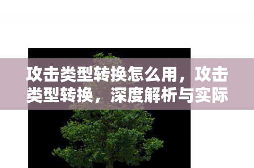 攻击类型转换怎么用,攻击类型转换,深度解析与实际应用 攻击类型转换怎么用,攻击类型转换,深度解析与实际应用