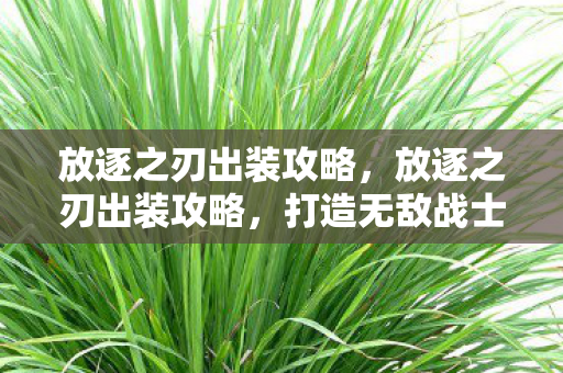 放逐之刃出装攻略,放逐之刃出装攻略,打造无敌战士的装备搭配 放逐之刃出装攻略,放逐之刃出装攻略,打造无敌战士的装备搭配