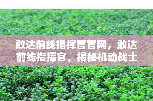 敢达前线指挥官官网,敢达前线指挥官,揭秘机动战士高达宇宙的神秘魅力 敢达前线指挥官官网,敢达前线指挥官,揭秘机动战士高达宇宙的神秘魅力