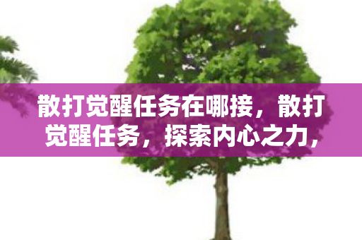 散打觉醒任务在哪接，散打觉醒任务，探索内心之力，迈向武道巅峰