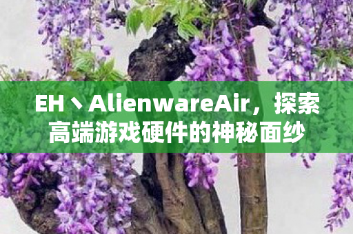 EH丶AlienwareAir,探索高端游戏硬件的神秘面纱 EH丶AlienwareAir,探索高端游戏硬件的神秘面纱
