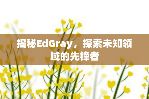 揭秘EdGray,探索未知领域的先锋者 揭秘EdGray,探索未知领域的先锋者