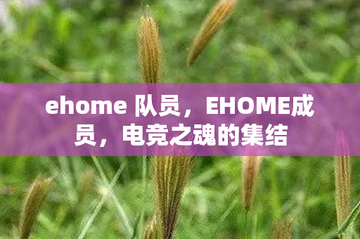ehome 队员,EHOME成员,电竞之魂的集结 ehome 队员,EHOME成员,电竞之魂的集结