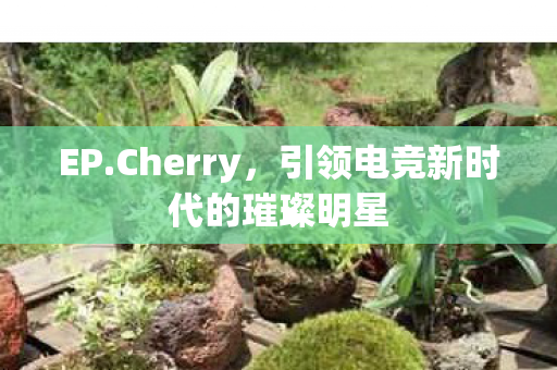 EP.Cherry,引领电竞新时代的璀璨明星 EP.Cherry,引领电竞新时代的璀璨明星