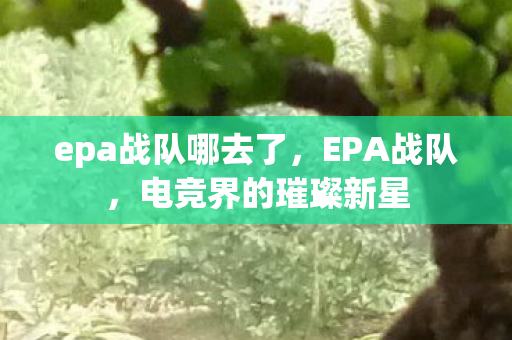 epa战队哪去了,EPA战队,电竞界的璀璨新星 epa战队哪去了,EPA战队,电竞界的璀璨新星
