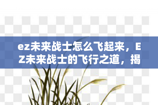 ez未来战士怎么飞起来,EZ未来战士的飞行之道,揭秘超强英雄的技能与策略 ez未来战士怎么飞起来,EZ未来战士的飞行之道,揭秘超强英雄的技能与策略