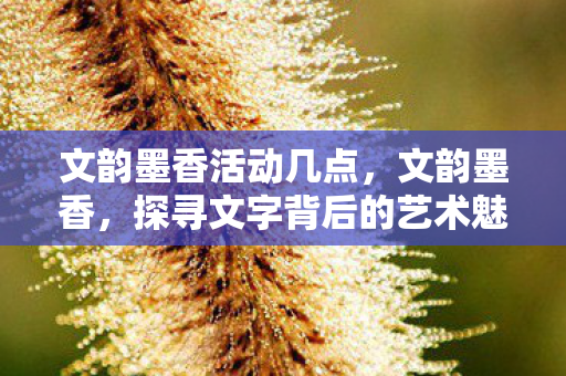 文韵墨香活动几点,文韵墨香,探寻文字背后的艺术魅力 文韵墨香活动几点,文韵墨香,探寻文字背后的艺术魅力