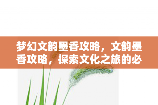 梦幻文韵墨香攻略,文韵墨香攻略,探索文化之旅的必备指南 梦幻文韵墨香攻略,文韵墨香攻略,探索文化之旅的必备指南
