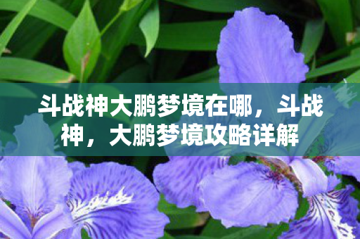 斗战神大鹏梦境在哪,斗战神,大鹏梦境攻略详解 斗战神大鹏梦境在哪,斗战神,大鹏梦境攻略详解