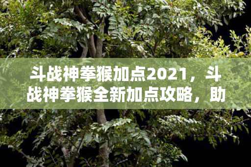 斗战神拳猴加点2021，斗战神拳猴全新加点攻略，助你战力飙升！