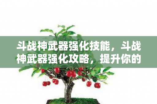 斗战神武器强化技能,斗战神武器强化攻略,提升你的战斗力必备指南 斗战神武器强化技能,斗战神武器强化攻略,提升你的战斗力必备指南