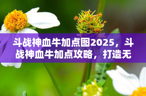 斗战神血牛加点图2025，斗战神血牛加点攻略，打造无敌战士
