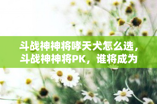 斗战神神将哮天犬怎么选,斗战神神将PK,谁将成为战场上的真正霸主? 斗战神神将哮天犬怎么选,斗战神神将PK,谁将成为战场上的真正霸主?