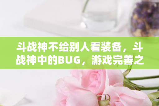斗战神不给别人看装备,斗战神中的BUG,游戏完善之路的挑战与探索 斗战神不给别人看装备,斗战神中的BUG,游戏完善之路的挑战与探索