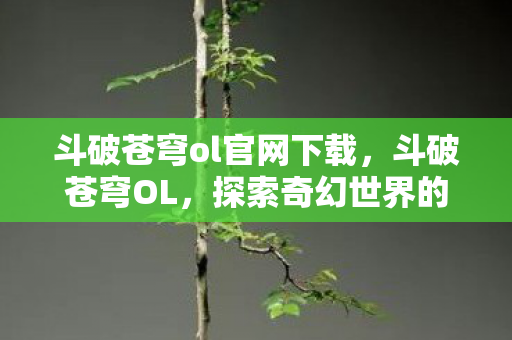 斗破苍穹ol官网下载,斗破苍穹OL,探索奇幻世界的官网之旅 斗破苍穹ol官网下载,斗破苍穹OL,探索奇幻世界的官网之旅