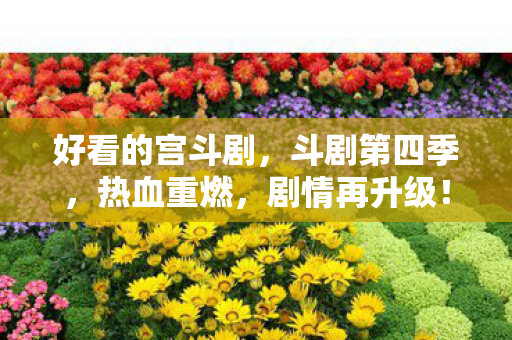 好看的宫斗剧，斗剧第四季，热血重燃，剧情再升级！