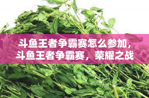 斗鱼王者争霸赛怎么参加,斗鱼王者争霸赛,荣耀之战的激情与策略碰撞 斗鱼王者争霸赛怎么参加,斗鱼王者争霸赛,荣耀之战的激情与策略碰撞
